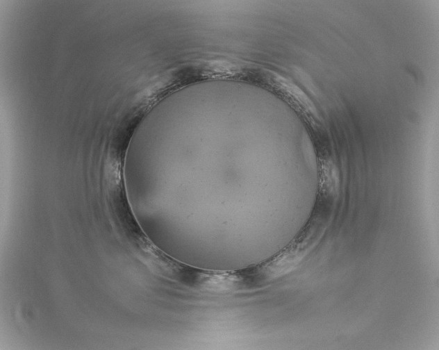 X0000115560621200911201824