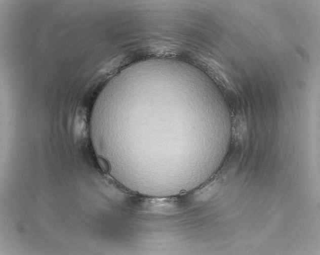 X0000115560622200911201824