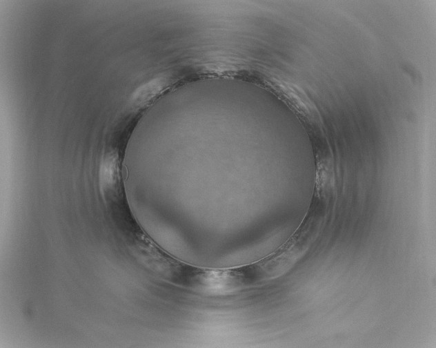 X0000115560623200911201824