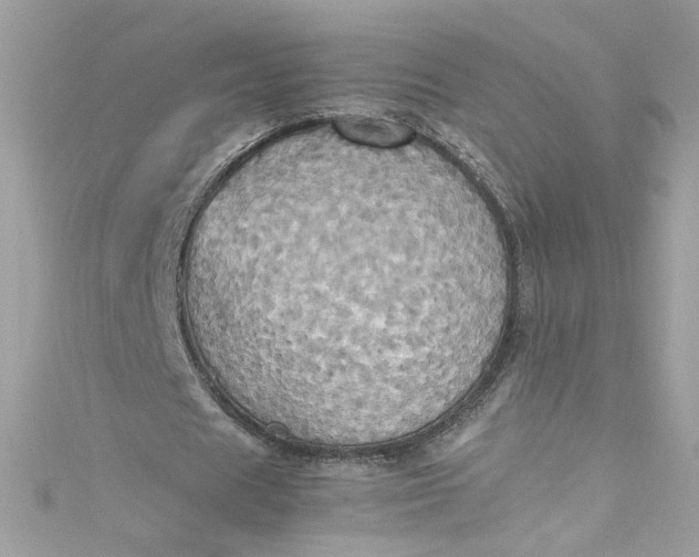 X0000115560625200911201823