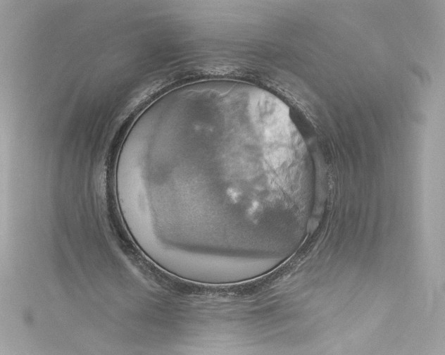 X0000115560626200911201823