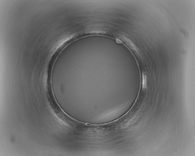 X0000115560627200911201823