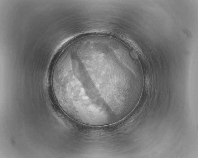 X0000115560628200911201823