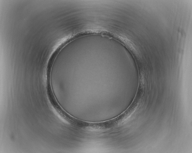 X0000115560630200911201823