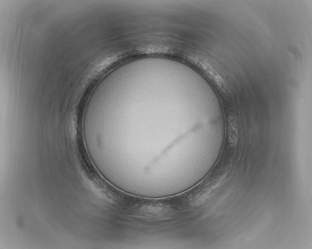 X0000115560631200911201823