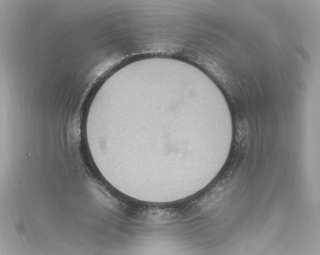 X0000115560632200911201823