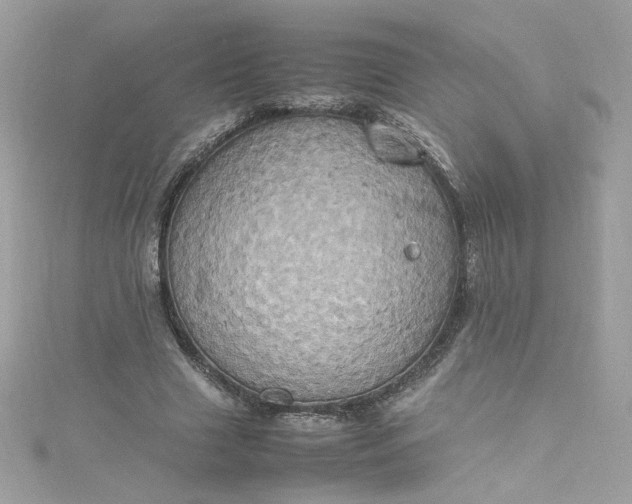 X0000115560633200911201823