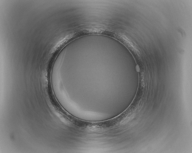 X0000115560634200911201823