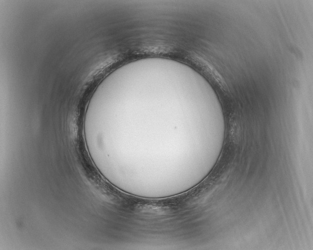 X0000115560635200911201823