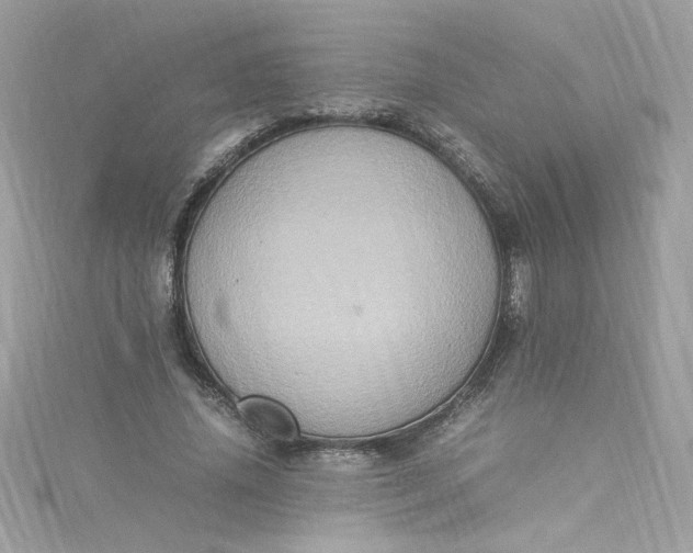 X0000115560636200911201823