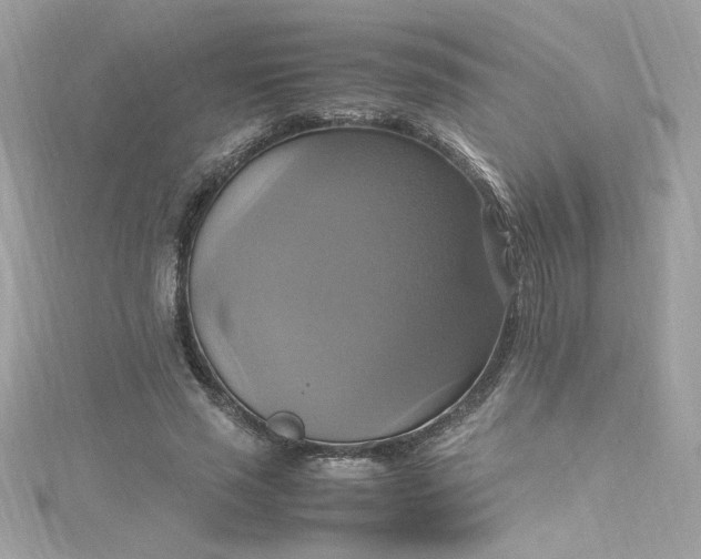 X0000115560637200911201823