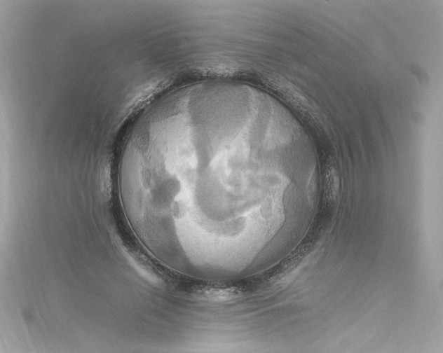 X0000115560638200911201823