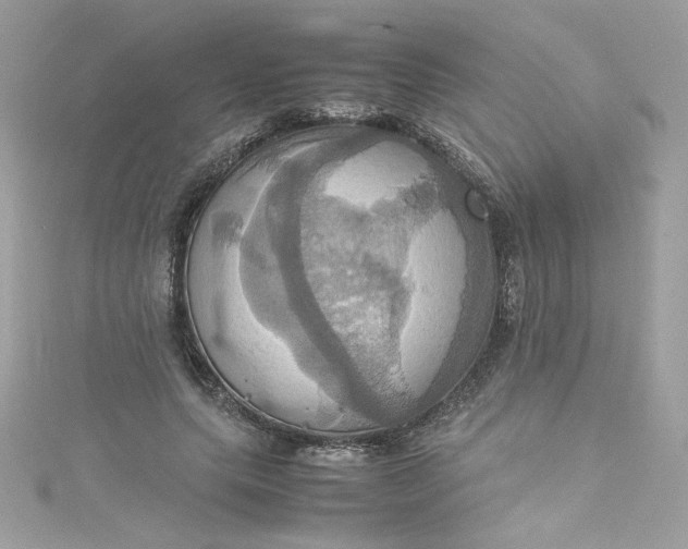 X0000115560639200911201823