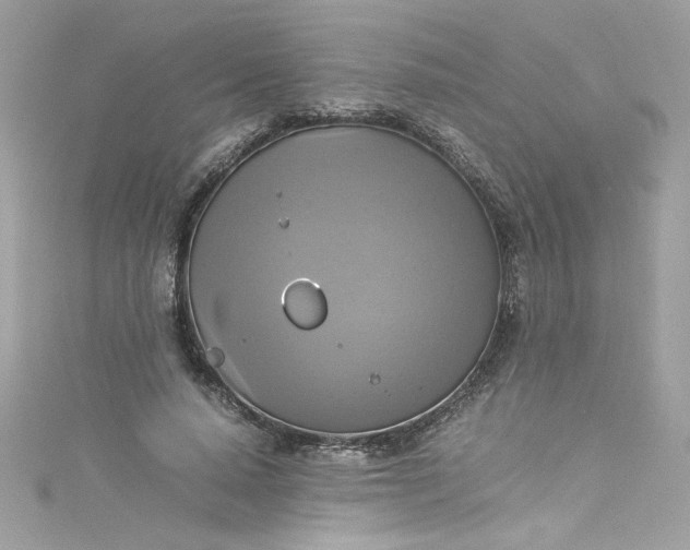 X0000115560640200911201823