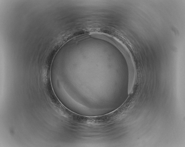 X0000115560641200911201823