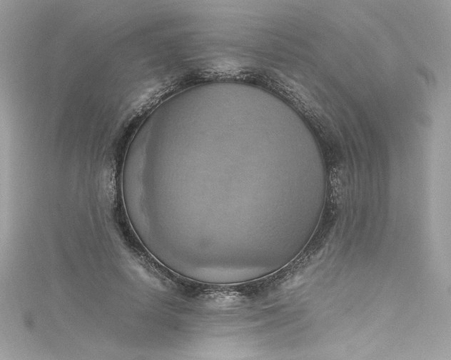 X0000115560642200911201823