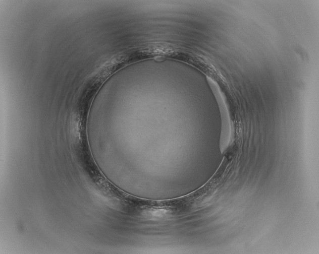 X0000115560643200911201823