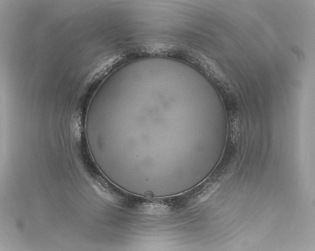 X0000115560644200911201823