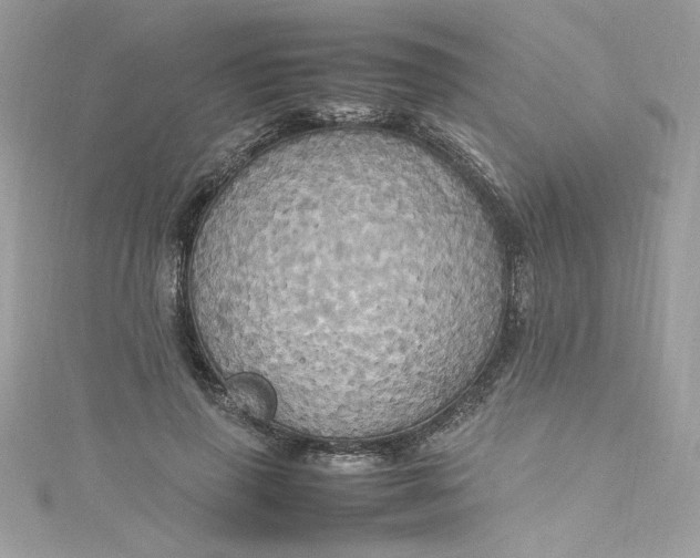 X0000115560645200911201823