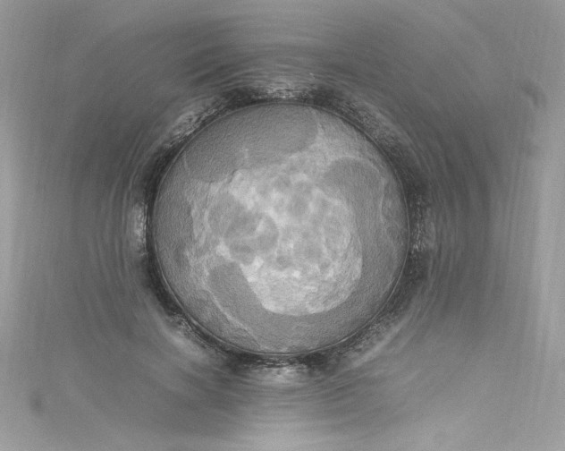 X0000115560646200911201823