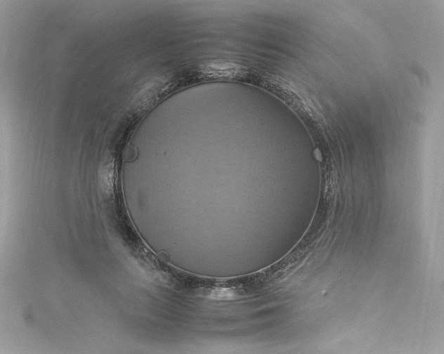 X0000115560647200911201823