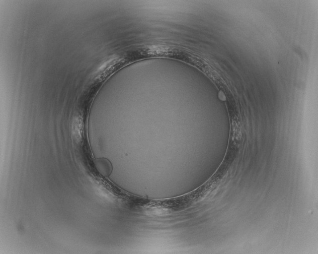 X0000115560648200911201823