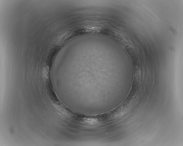 X0000115560649200911201823