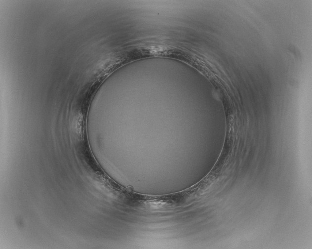 X0000115560650200911201823