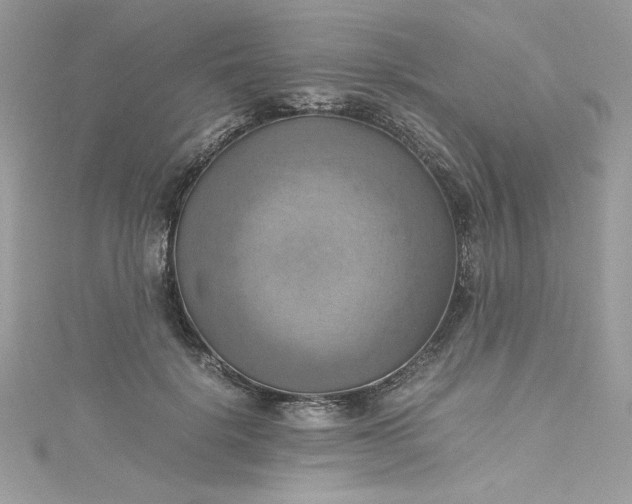 X0000115560652200911201823