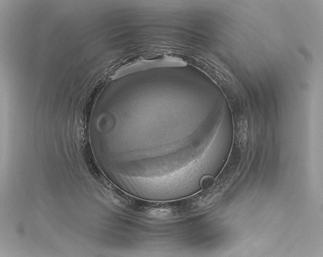 X0000115560653200911201823