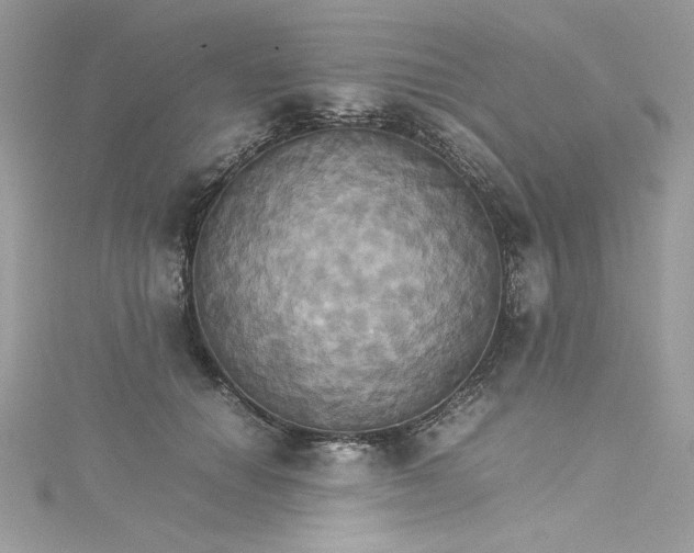 X0000115560654200911201823