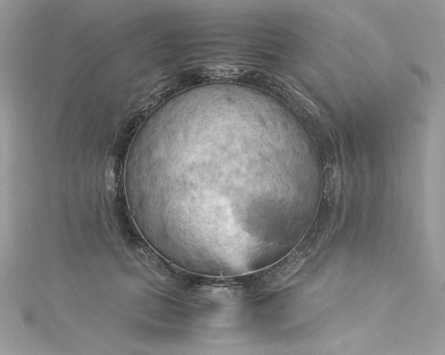 X0000115560655200911201823