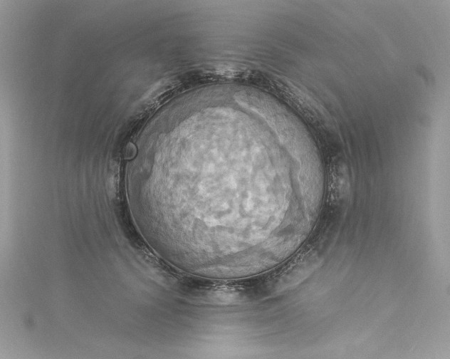 X0000115560656200911201823