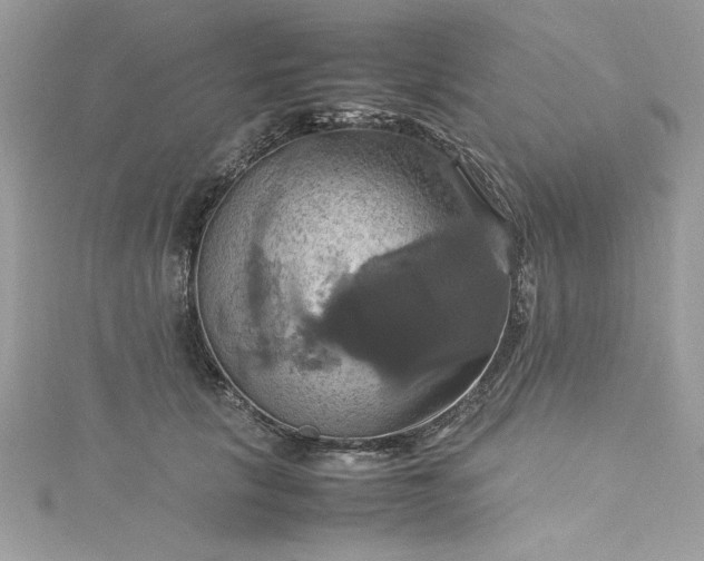 X0000115560657200911201823