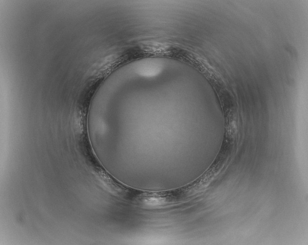 X0000115560658200911201824