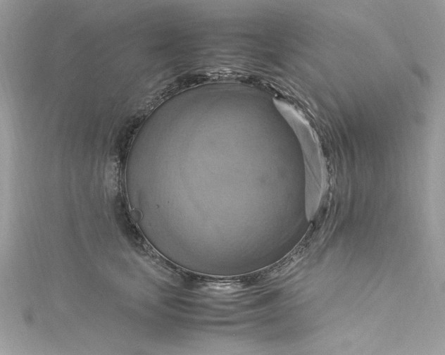 X0000115560659200911201824