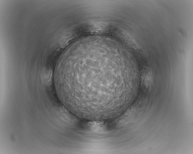 X0000115560660200911201824