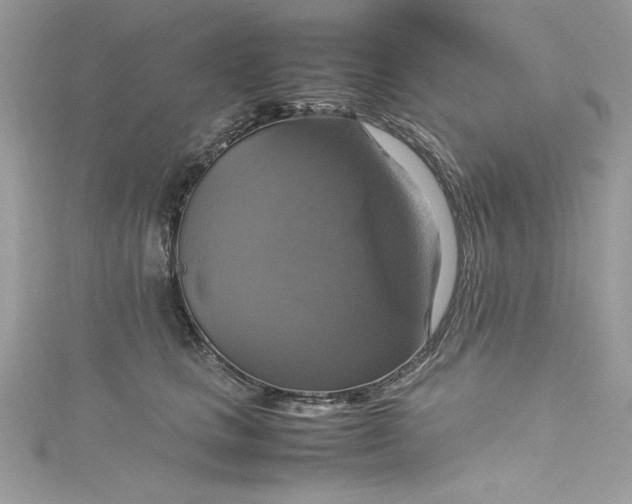 X0000115560661200911201824