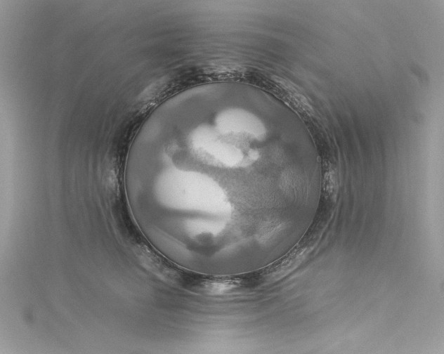 X0000115560662200911201824