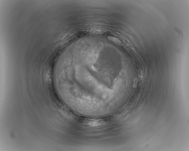 X0000115560663200911201824