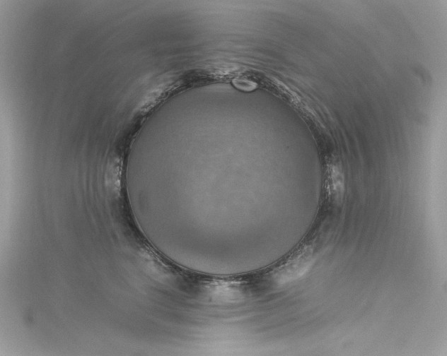 X0000115560664200911201824