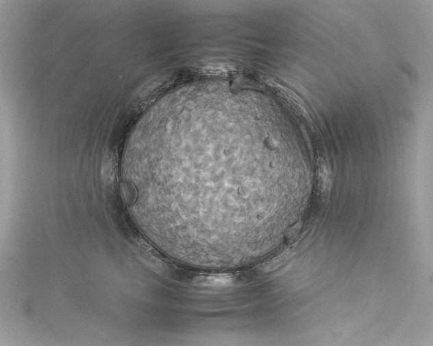 X0000115560665200911201824