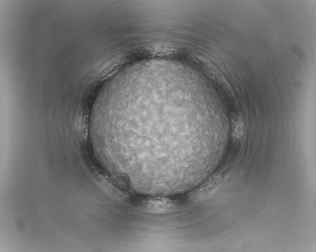 X0000115560666200911201824