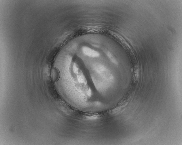 X0000115560667200911201824