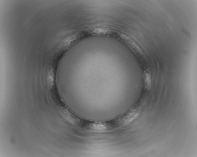 X0000115560668200911201824