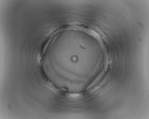 X0000115560669200911201824