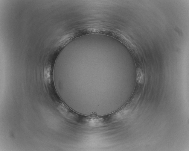 X0000115560670200911201824