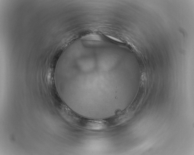 X0000115560671200911201824