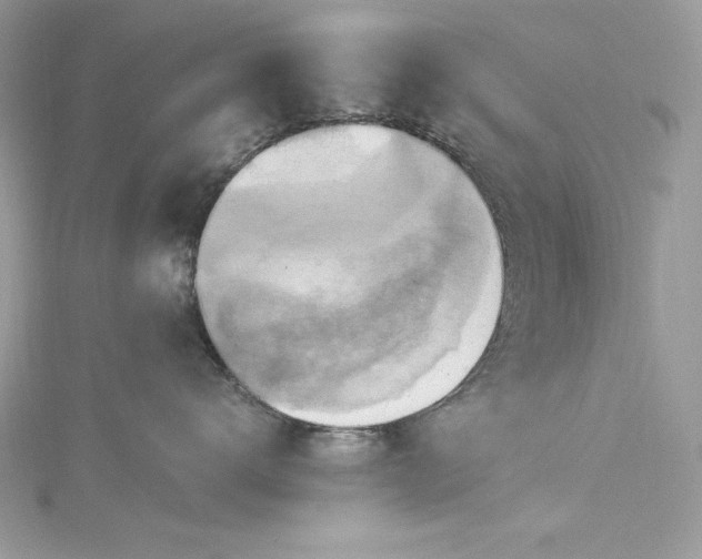 X0000115560672200911201824