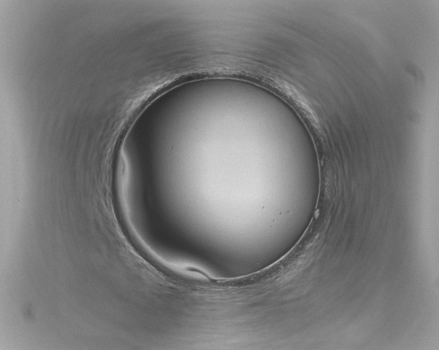 X0000115560673200911201823